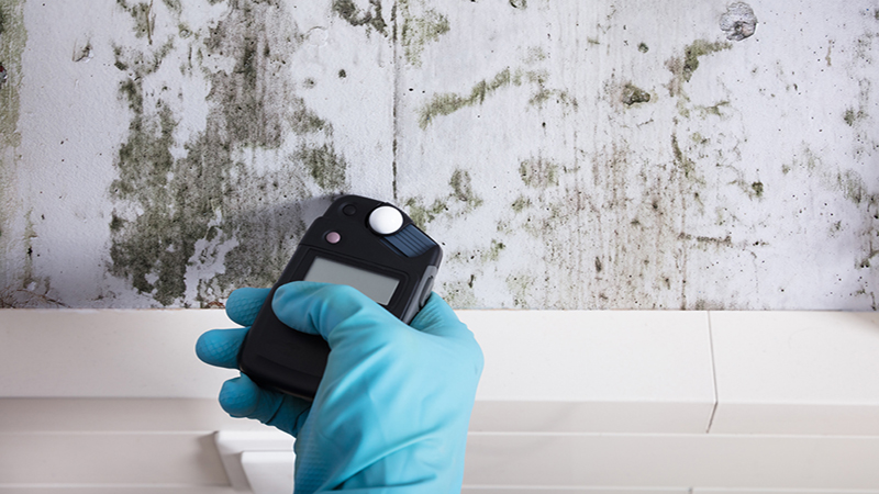 Mold Inspections